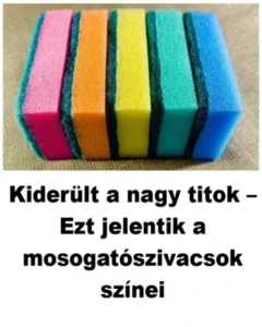 kider-lt-a-nagy-titok-ezt-jelentik-a-mosogat-szivacsok-sz-ne